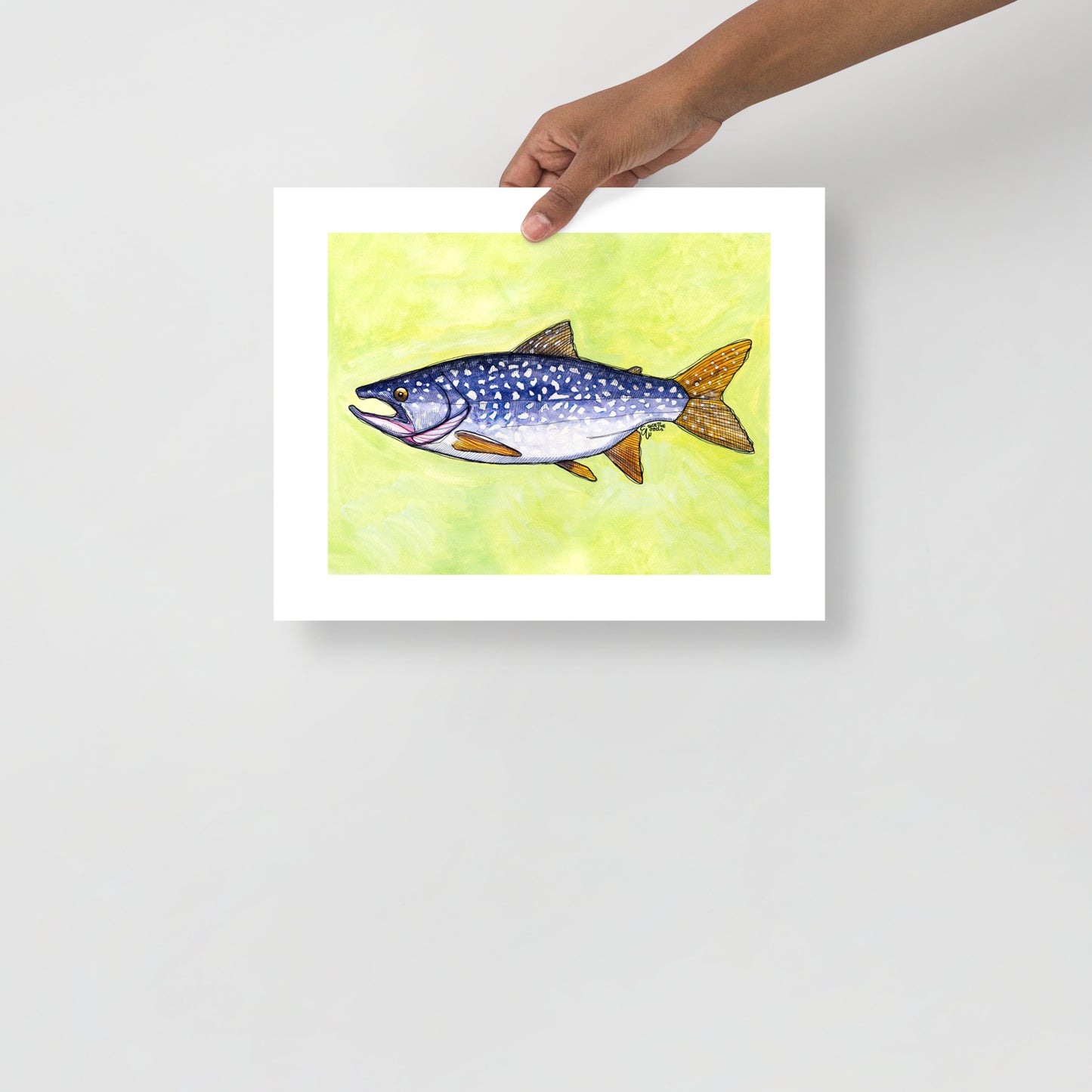 Lake Trout Matte Poster Print