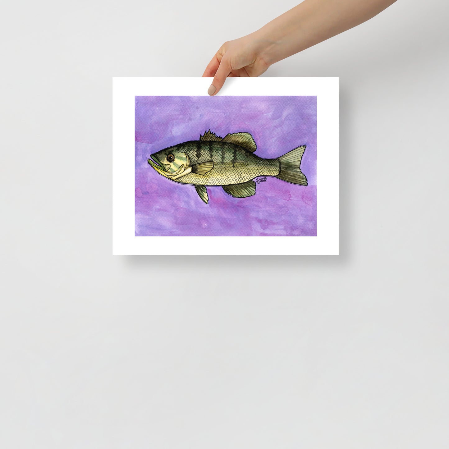 Smallmouth Bass Matte Poster Print