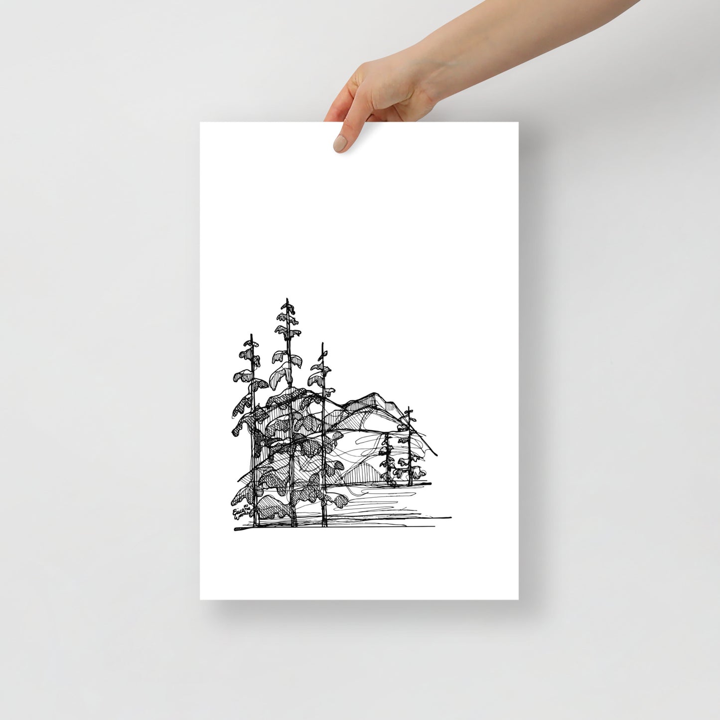 Mountain Pines Matte Paper Poster Print