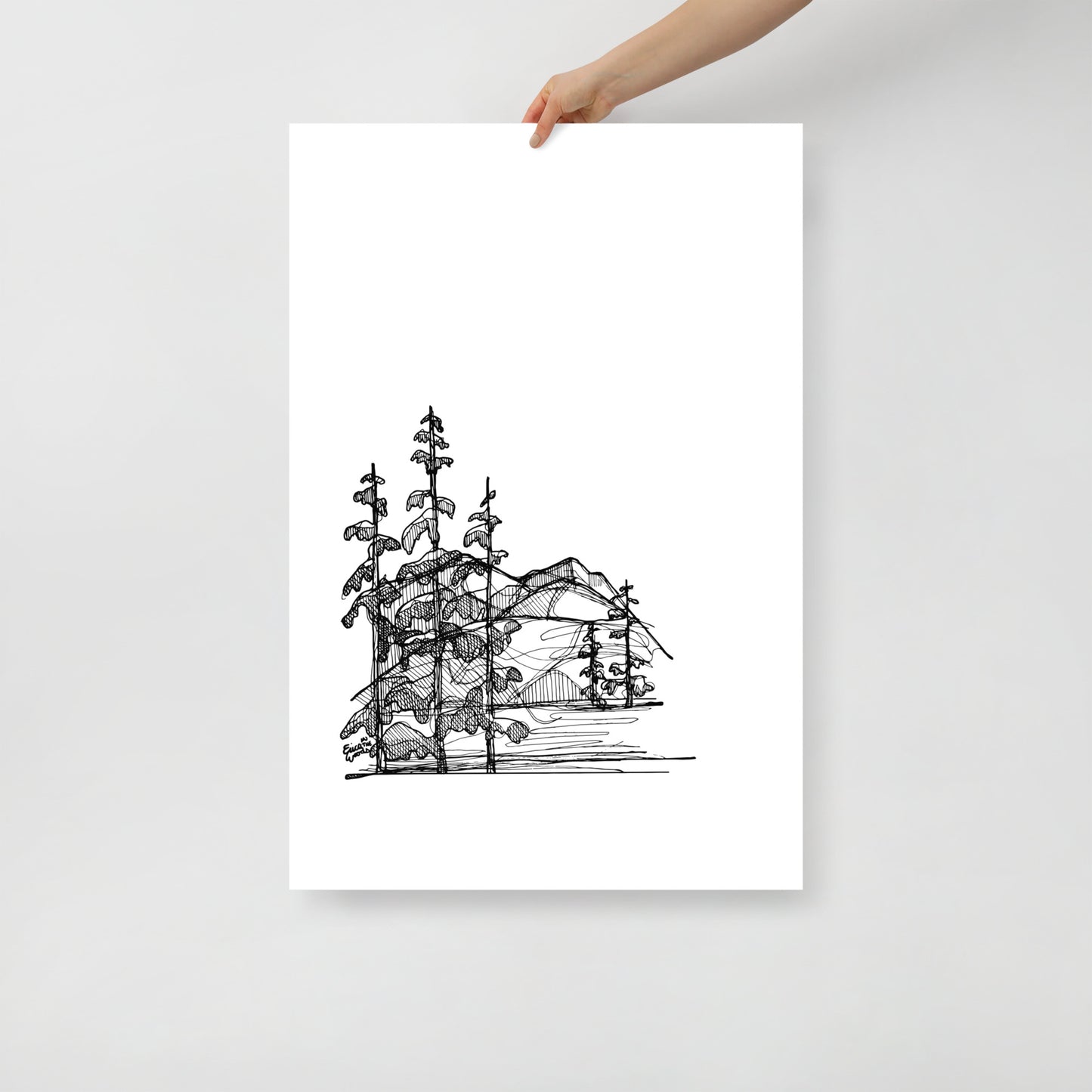 Mountain Pines Matte Paper Poster Print