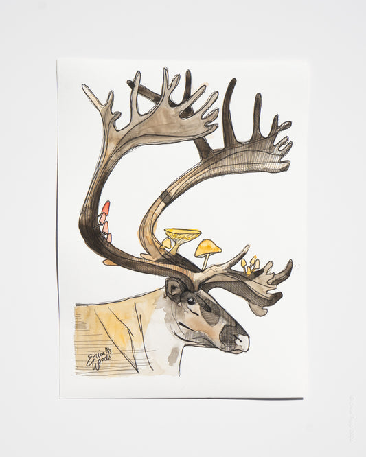 Original Watercolour & Ink Painting – "NELSON"