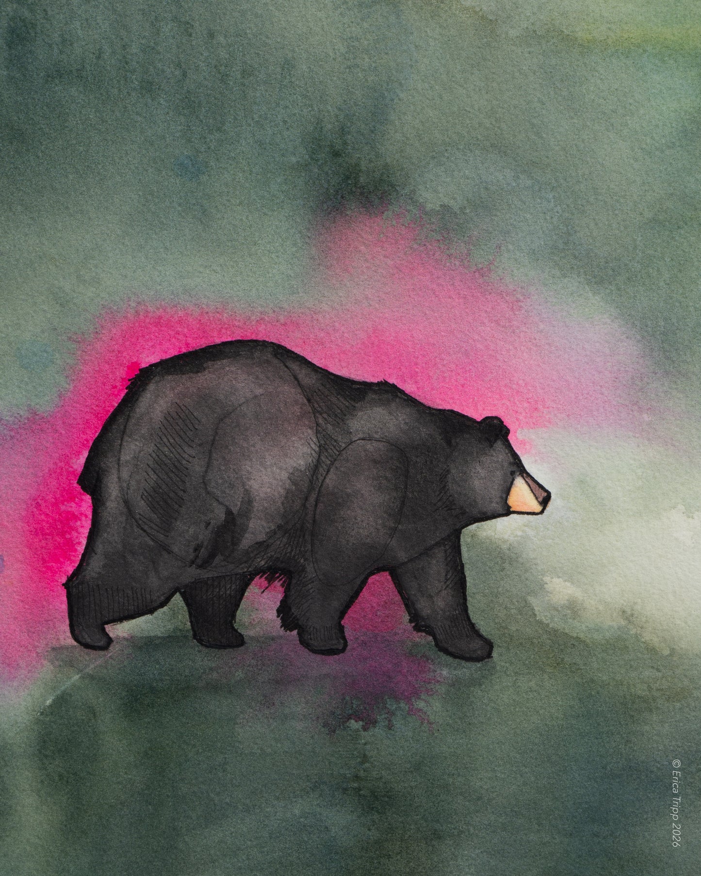 Original Watercolour & Ink Painting – "BLANCHE"