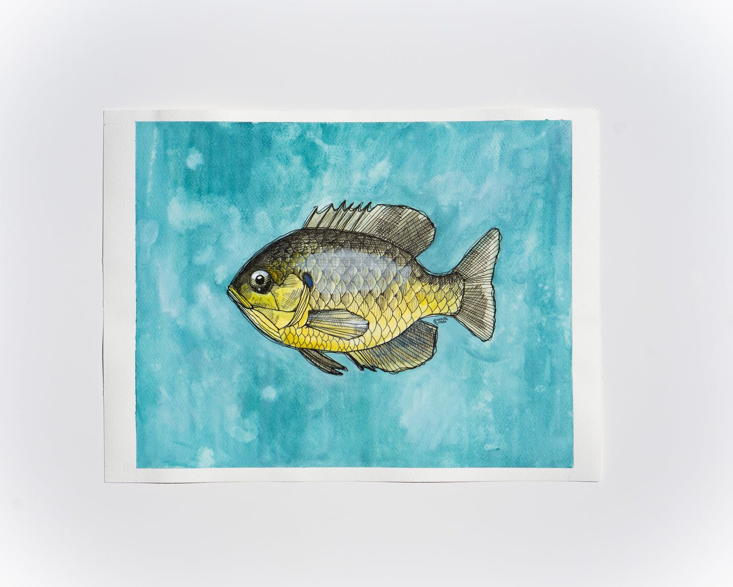 Original Watercolour & Ink Painting – "SUN FISH"