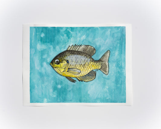 Original Watercolour & Ink Painting – "SUN FISH"