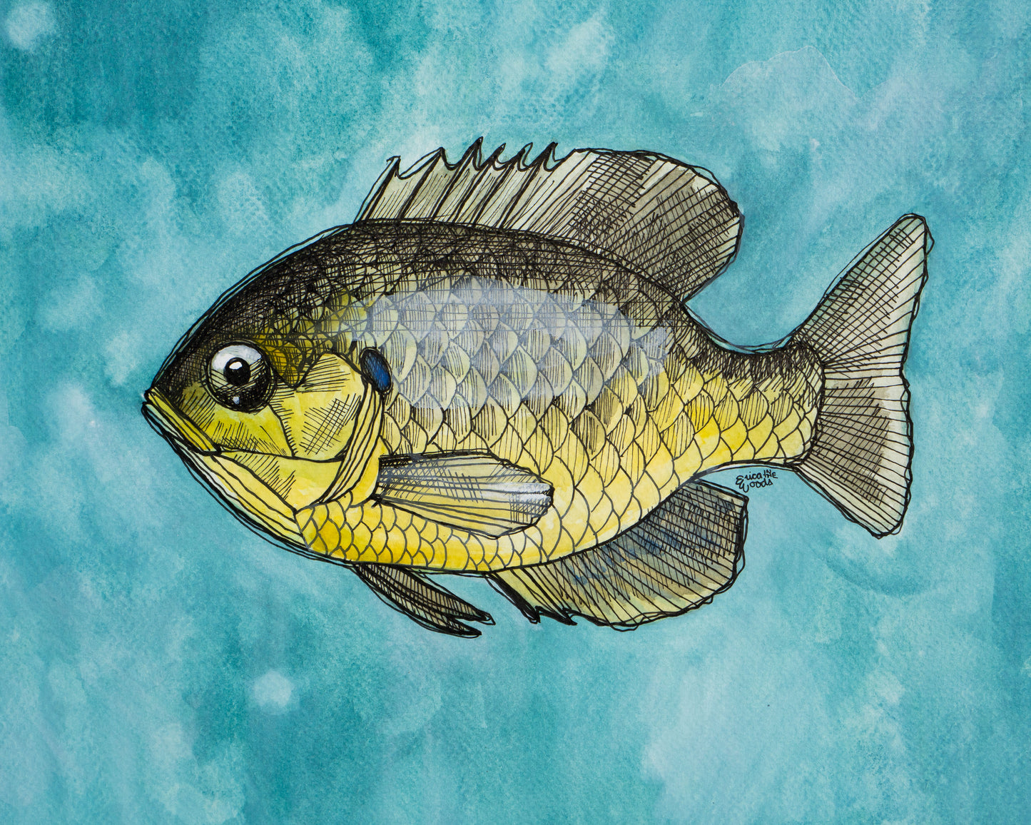 Original Watercolour & Ink Painting – "SUN FISH"