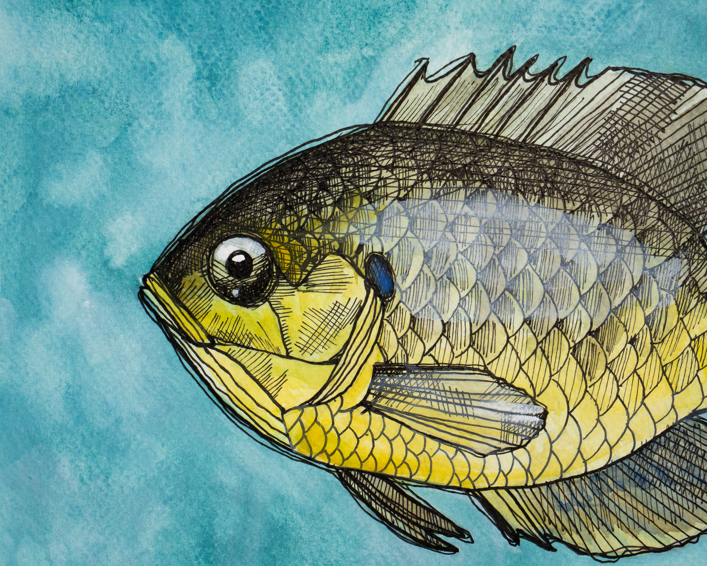 Original Watercolour & Ink Painting – "SUN FISH"