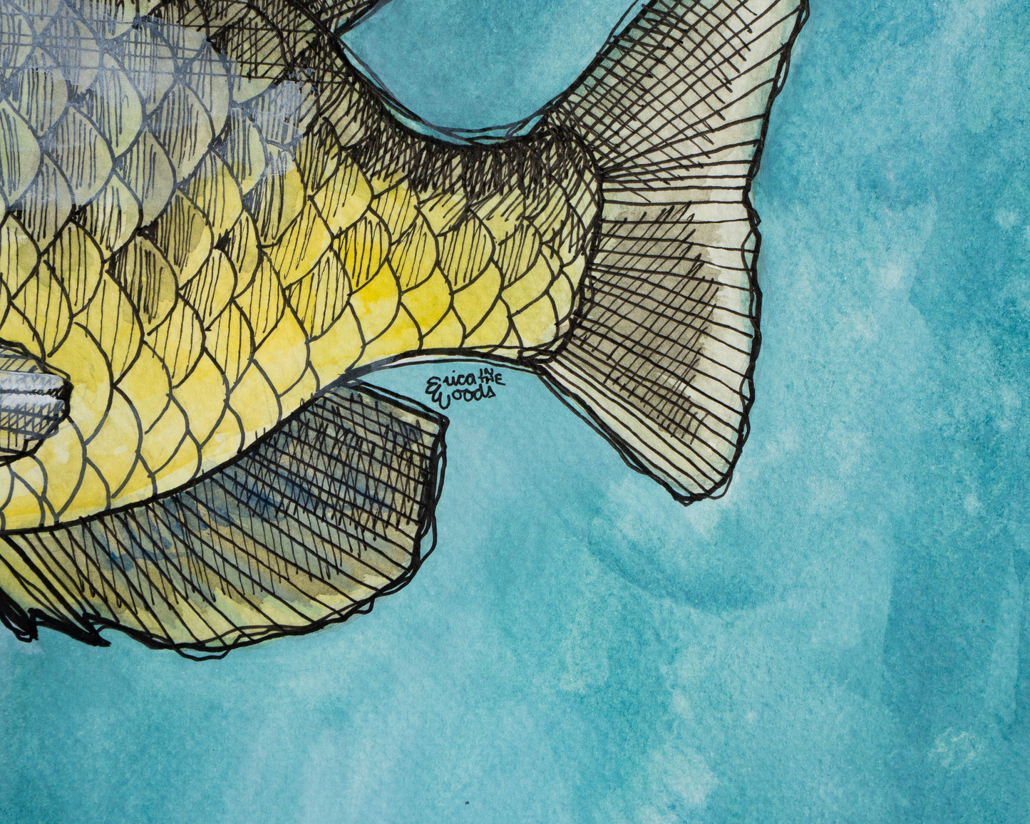 Original Watercolour & Ink Painting – "SUN FISH"