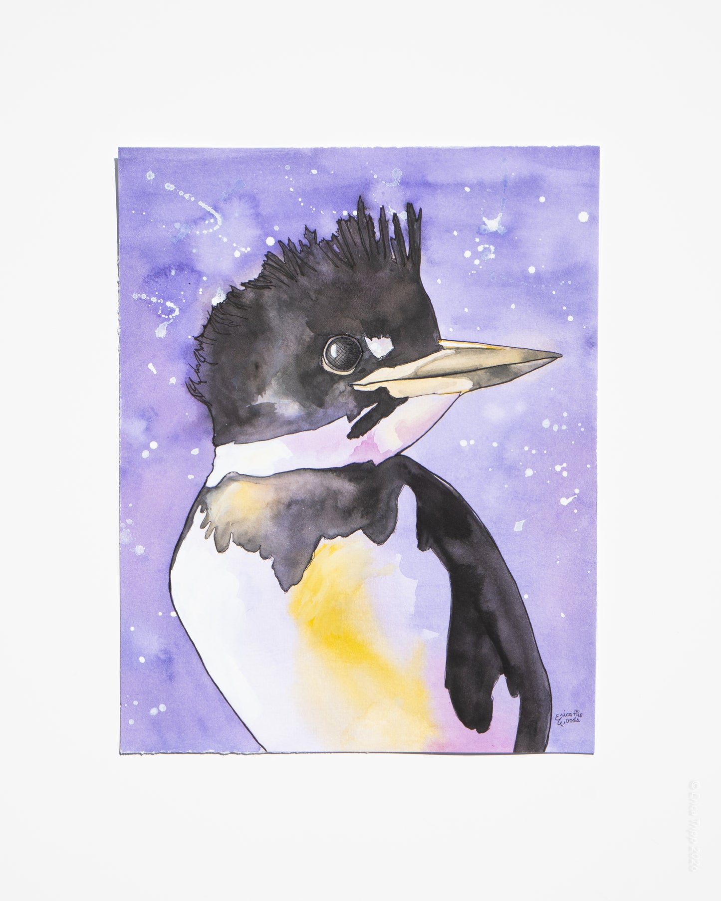 Original Watercolour & Ink Painting – "PERRY"