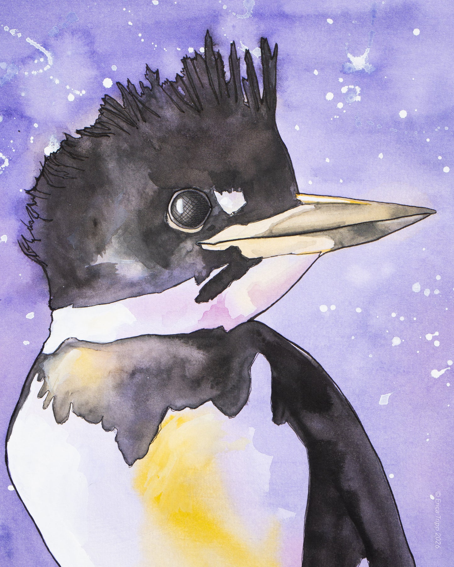 Original Watercolour & Ink Painting – "PERRY"