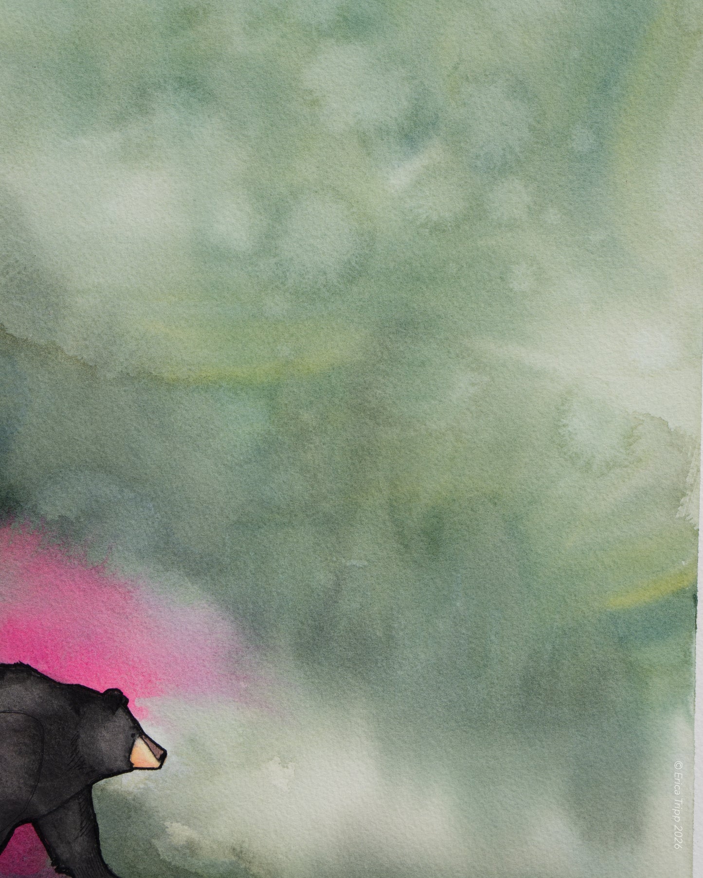 Original Watercolour & Ink Painting – "BLANCHE"