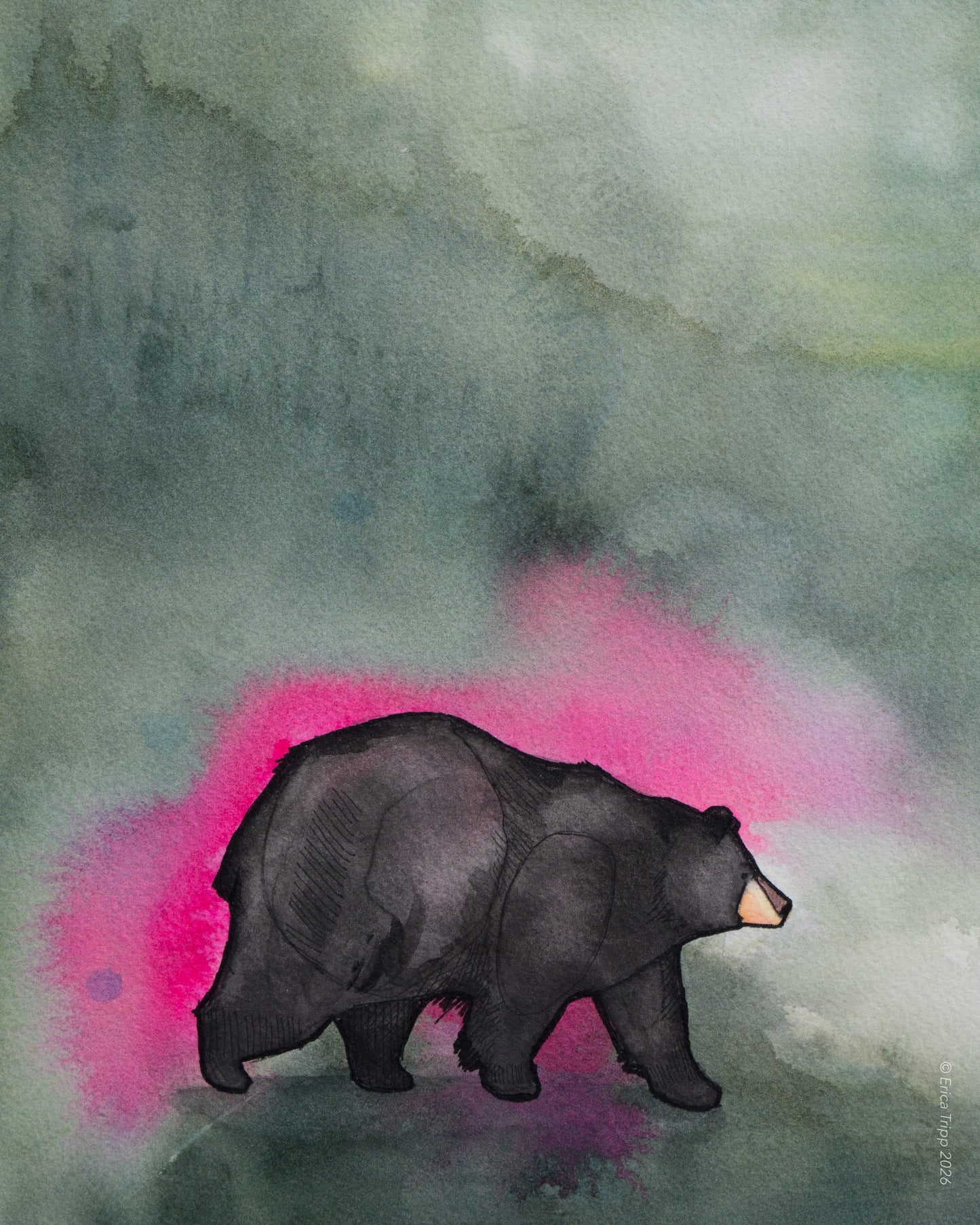 Original Watercolour & Ink Painting – "BLANCHE"