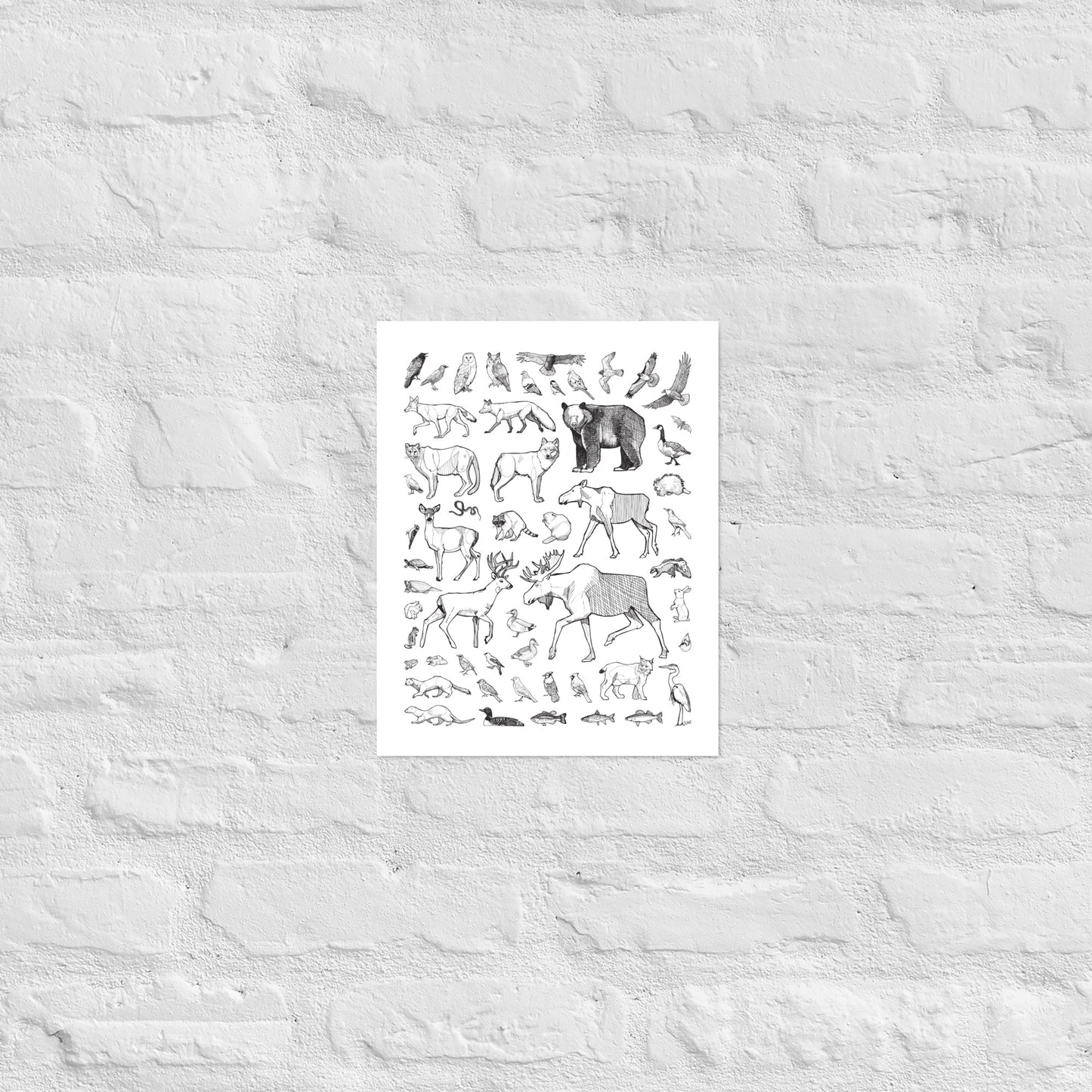 Ontario Species Matte Paper Poster Print