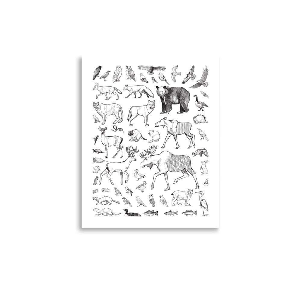 Ontario Species Matte Paper Poster Print