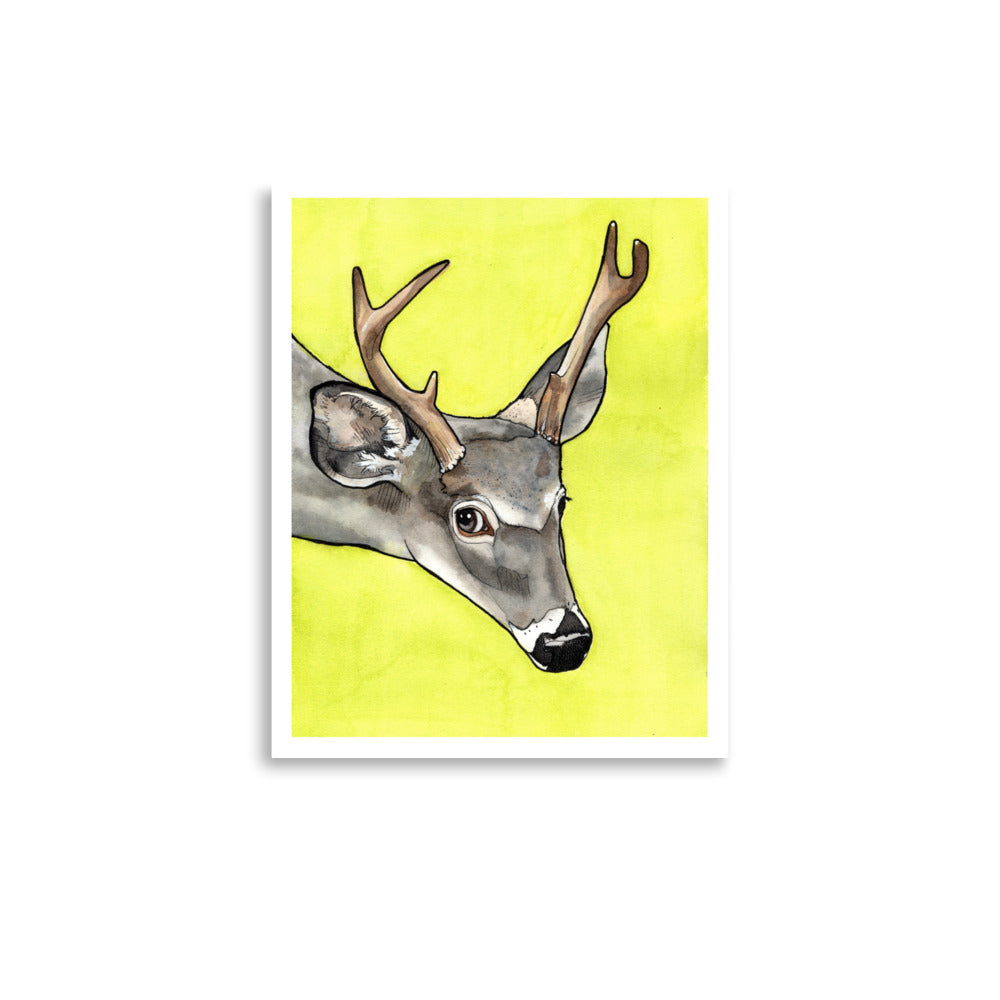 Ash Deer Matte Paper Poster Print