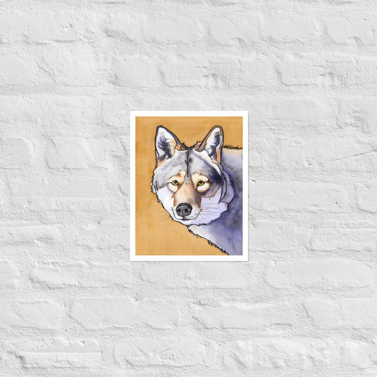 Cedar Wolf Matte Paper Poster Print