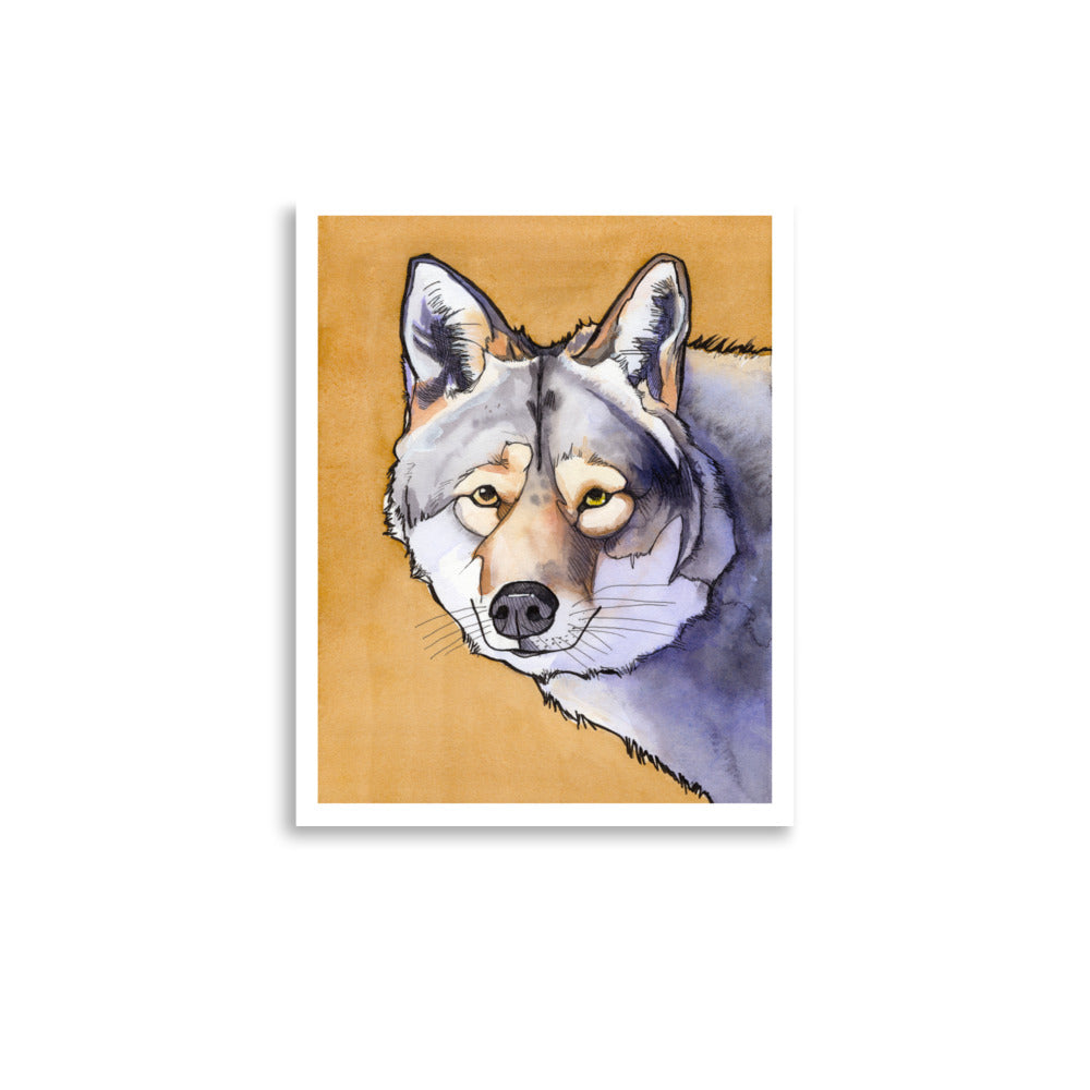 Cedar Wolf Matte Paper Poster Print