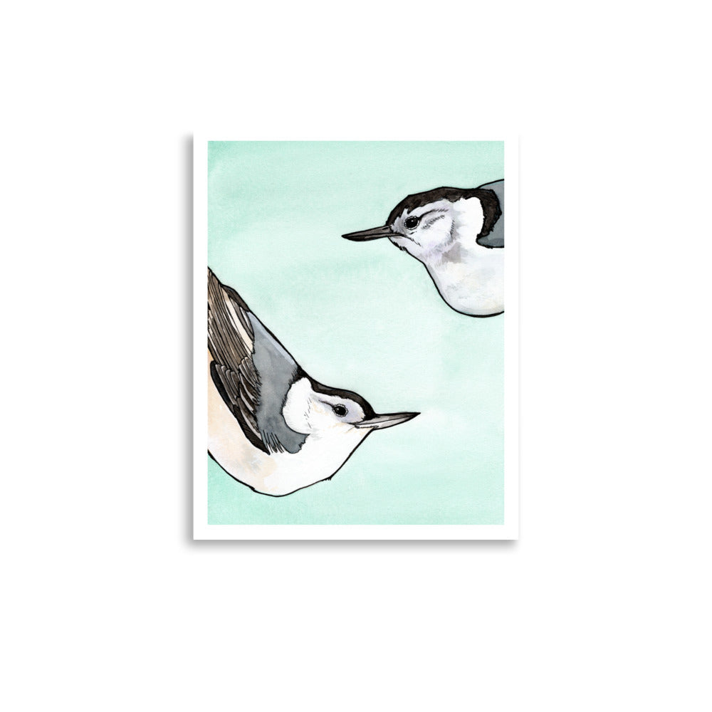 Beech and Birch Nuthatches Matte Paper Poster Print