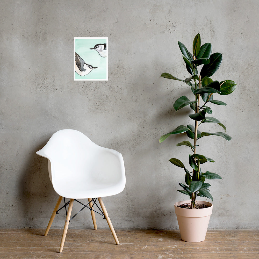 Beech and Birch Nuthatches Matte Paper Poster Print