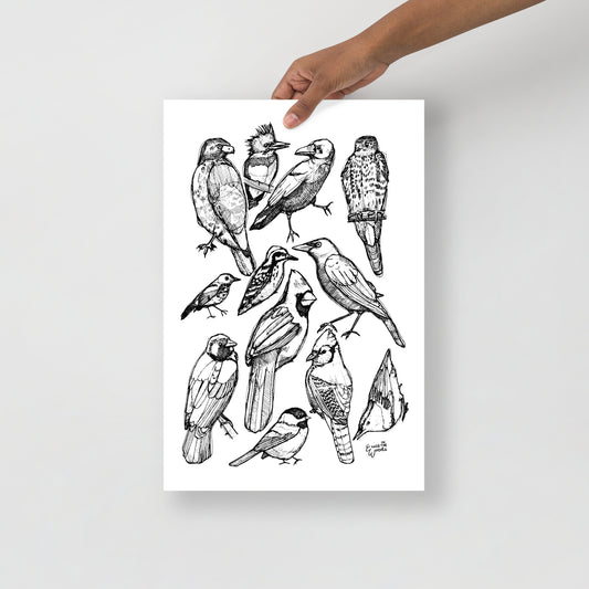 The Bird Project - Matte Paper Poster Print