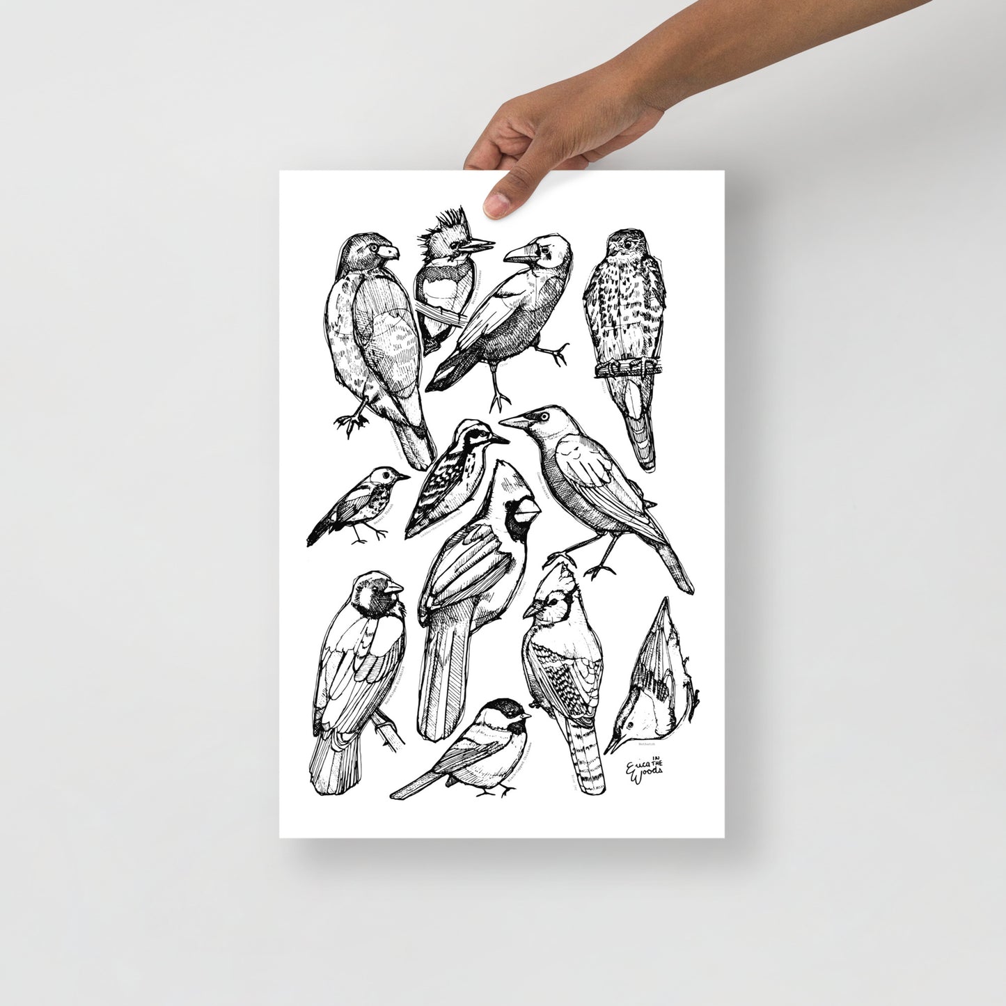The Bird Project with Bird Names - Matte Paper Poster Print