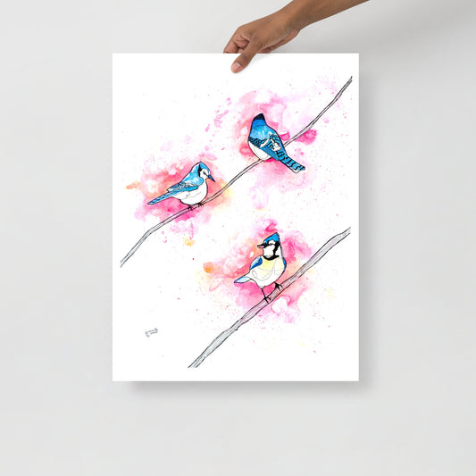 Three Jays Matte Paper Poster Print