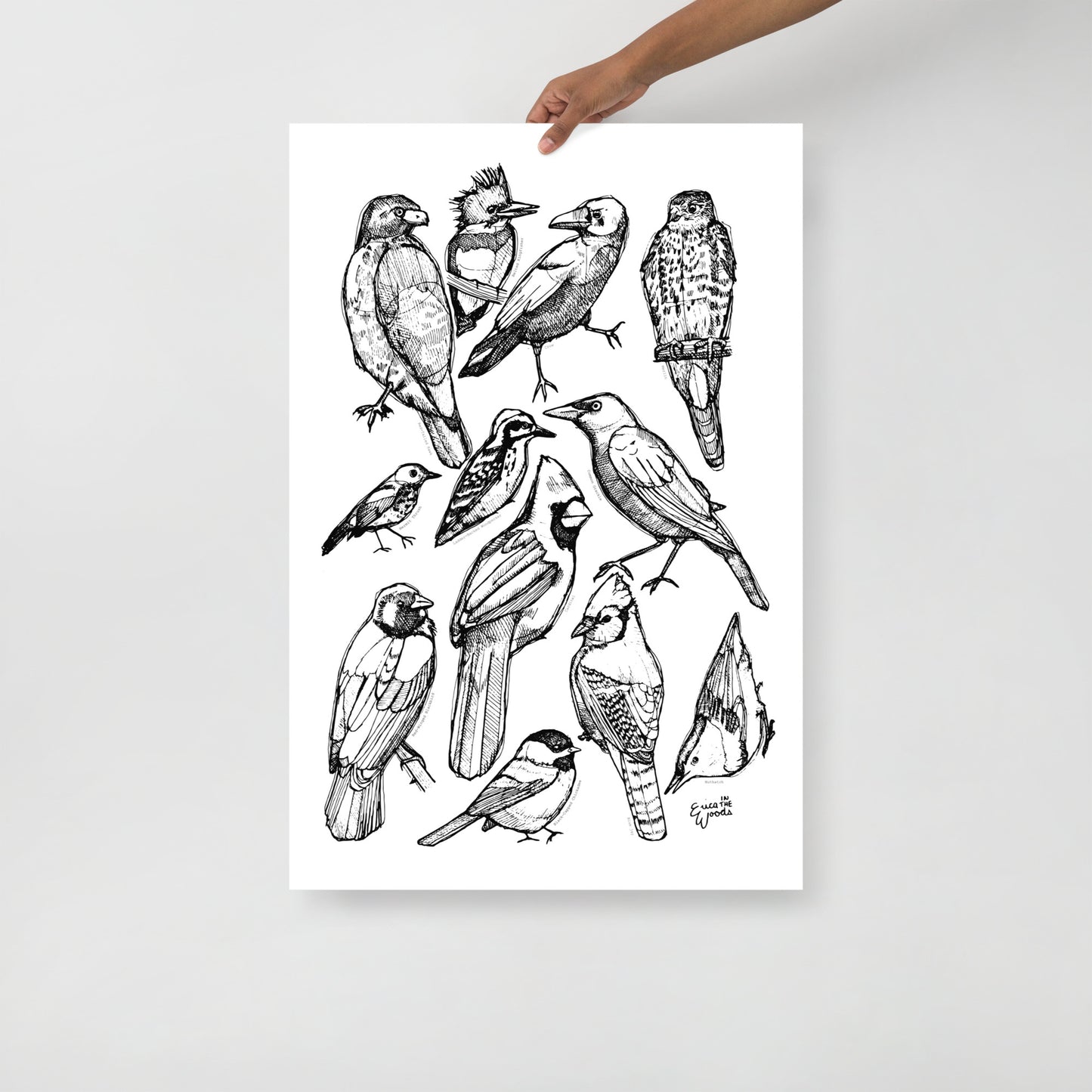 The Bird Project with Bird Names - Matte Paper Poster Print