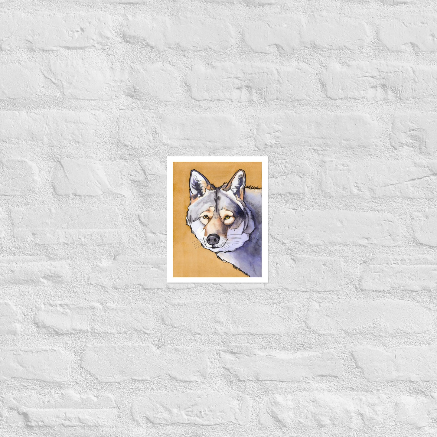 Cedar Wolf Matte Paper Poster Print